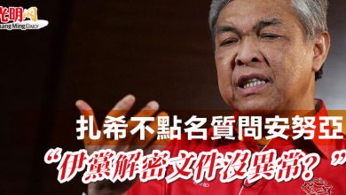 Photo of 扎希不點名質問安努亞  “伊黨解密文件沒異常？”