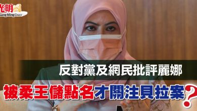 Photo of 反對黨及網民批評麗娜 “被柔王儲點名 才關注貝拉案?”