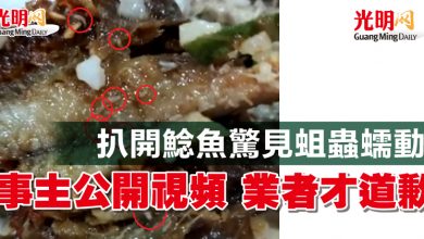 Photo of 扒開鯰魚驚見蛆蟲蠕動  事主公開視頻 業者才道歉