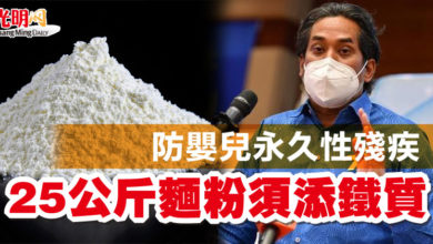 Photo of 凱里：防嬰兒永久性殘疾   25公斤麵粉須添鐵質
