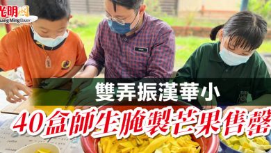 Photo of 雙弄振漢華小   40盒師生腌製芒果售罄