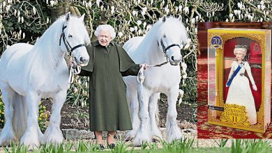Photo of 英女王96歲生日  發售女王芭比玩偶慶賀