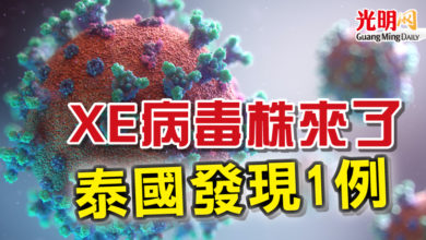 Photo of XE病毒株來了  泰國發現1例