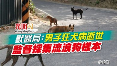 Photo of 獸醫局:男子狂犬病逝世 監督採集流浪狗樣本