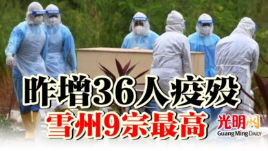 Photo of 昨增36人疫歿  雪州9宗最高