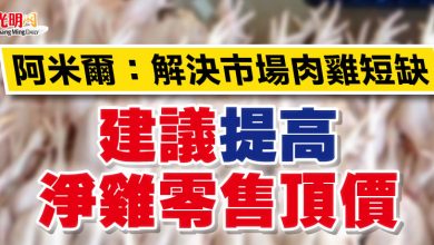Photo of 阿米爾：解決市場肉雞短缺  建議提高淨雞零售頂價