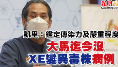 Photo of 凱里：鑑定傳染力及嚴重程度  大馬迄今沒XE變異毒株病例