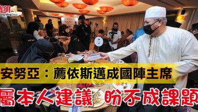Photo of 安努亞：薦依斯邁成國陣主席  屬本人建議 盼不成課題