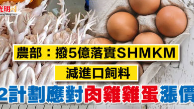 Photo of 農部：撥5億落實SHMKM 減進口飼料   2計劃應對肉雞雞蛋漲價