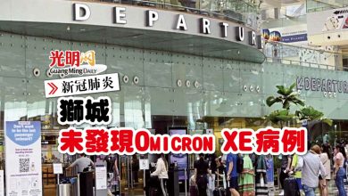 Photo of 【新冠肺炎】獅城未發現Omicron XE病例