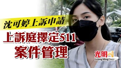 Photo of 沈可婷上訴申請   上訴庭擇定511案件管理