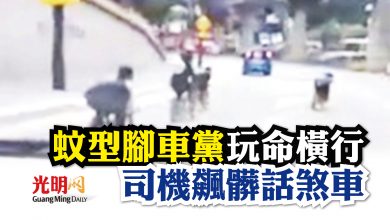 Photo of 蚊型腳車黨玩命橫行 司機飆髒話煞車