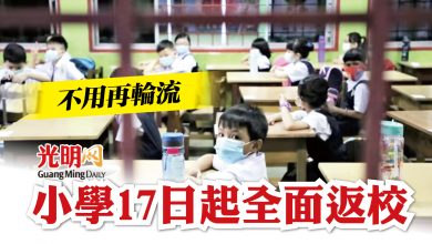 Photo of 不用再輪流 小學17日起全面返校