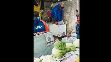 Photo of 蛇王再現檔攤溜走 店主置硫磺粉防範