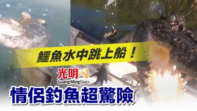 Photo of 鱷魚水中跳上船！情侶釣魚超驚險