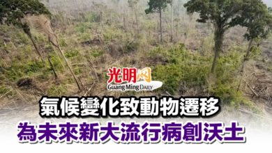 Photo of 氣候變化致動物遷移 為未來新大流行病創沃土