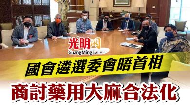 Photo of 國會遴選委會晤首相 商討藥用大麻合法化