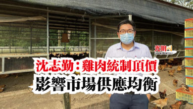 Photo of 沈志勤：雞肉統制頂價  影響市場供應均衡