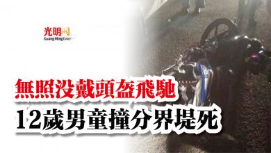 Photo of 無照沒戴頭盔飛馳  12歲男童撞分界堤死