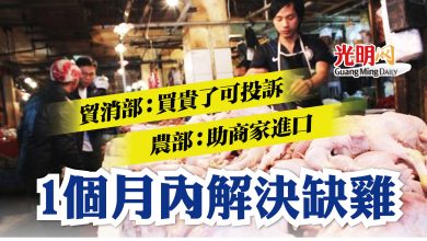 Photo of 貿消部：買貴了可投訴 雞肉短缺1個月內解決