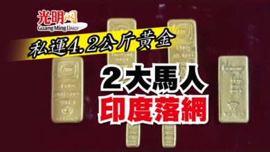 Photo of 私運4.2公斤黃金 2大馬人印度落網