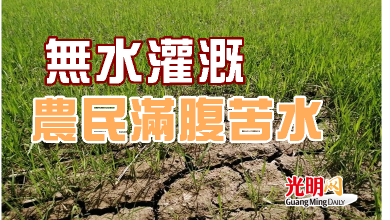 Photo of 無水灌溉 農民滿腹苦水