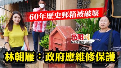 Photo of 60年歷史郵箱被破壞   林朝雁：政府應維修保護