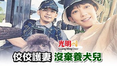 Photo of 佼佼護妻沒棄養犬兒