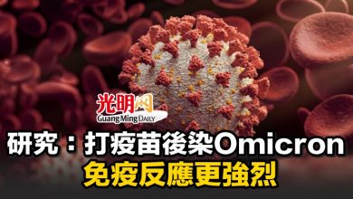Photo of 研究：打疫苗後染Omicron 免疫反應更強烈