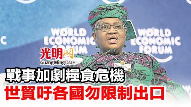 Photo of 戰事加劇糧食危機 世貿吁各國勿限制出口
