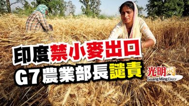 Photo of 印度禁小麥出口 G7農業部長譴責