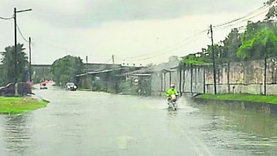 Photo of 古來通新港新村路段又淹水 居民促速派員清理溝渠