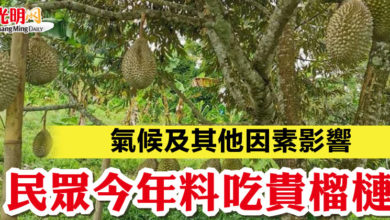 Photo of 氣候及其他因素影響 民眾今年料吃貴榴槤