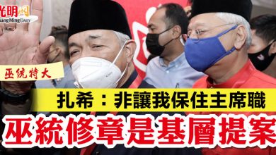Photo of 【巫統特大】扎希：非讓我保住主席職  巫統修章是基層提案