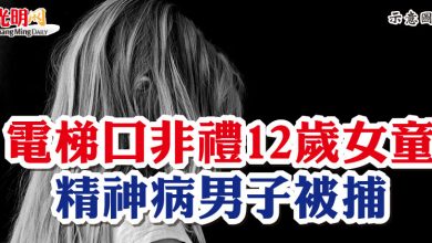 Photo of 電梯口非禮12歲女童 精神病男子被捕