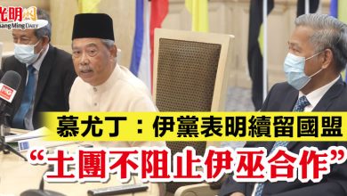 Photo of 慕尤丁:伊黨表明續留國盟 “土團不阻止伊巫合作”