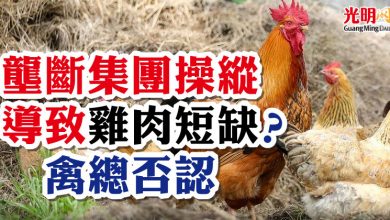 Photo of 壟斷集團操縱導致雞肉短缺？  禽總否認