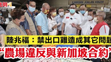 Photo of 陸兆福：禁出口雞造成其它問題 “農場違反與新加坡合約”