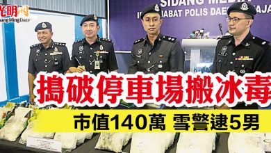 Photo of 搗破停車場搬冰毒  市值140萬 雪警逮5男