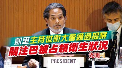 Photo of 凱里主持世衛大會通過提案 關注巴被占領衛生狀況
