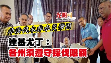 Photo of 非法伐木非水災肇因  達基尤丁：各州須遵守採伐限額