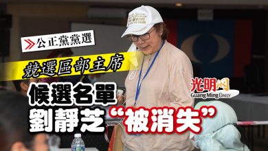 Photo of 【公正黨黨選】競選區部主席 候選名單劉靜芝“被消失”