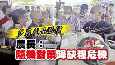 Photo of 多農產品漲價 農長：隨機對策降缺糧危機