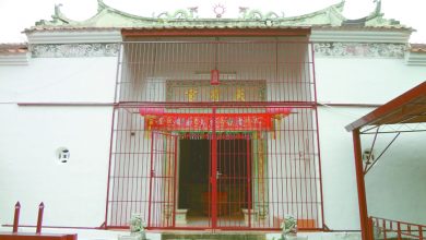Photo of 百年古廟白蟻侵蝕 天有宮亟待善信捐助