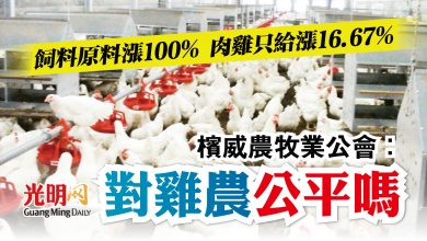 Photo of 飼料原料漲100% 肉雞只給漲16.67% 檳威農牧業公會：雞農怎麼生存