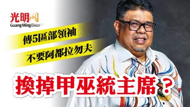 Photo of 換掉甲巫統主席？ 傳5區部領袖晤扎希提要求