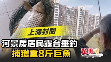 Photo of 上海封閉 河景房居民露台垂釣 捕獲重8斤巨魚