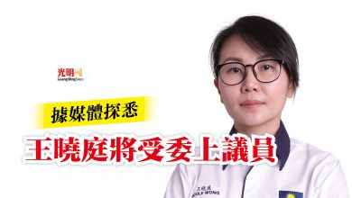 Photo of 據媒體探悉  王曉庭將受委上議員