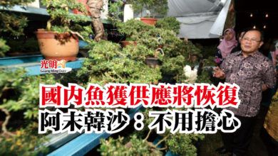 Photo of 國內魚獲供應將恢復  阿末韓沙：不用擔心
