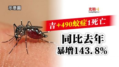 Photo of 吉+490蚊症 1死亡  同比去年暴增143.8%